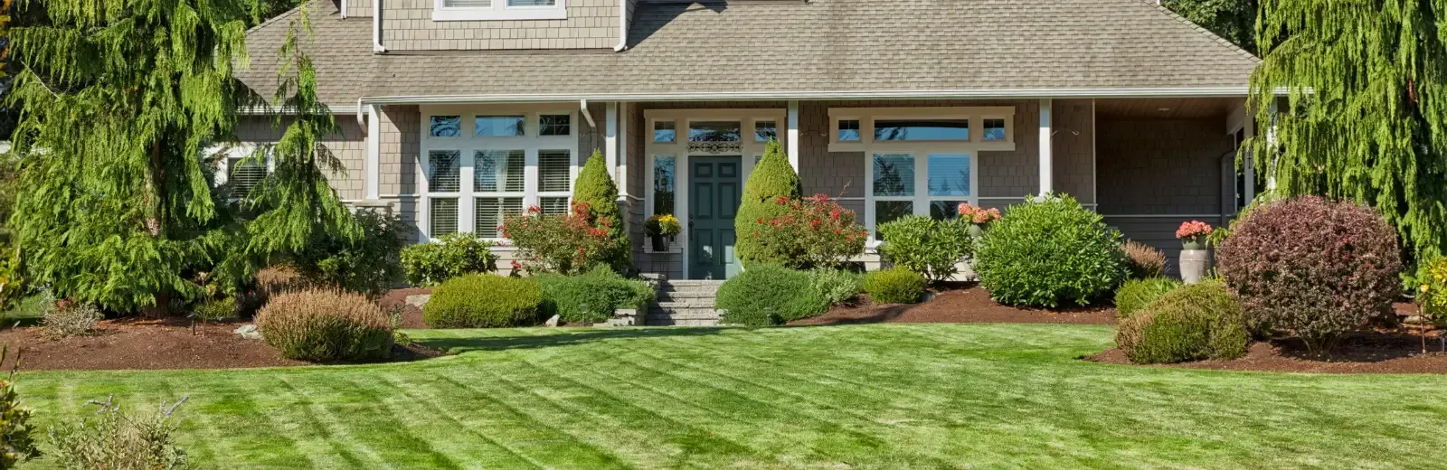clean green front yard