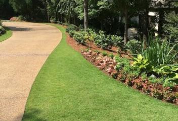 lawn