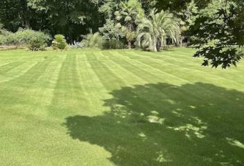lawn