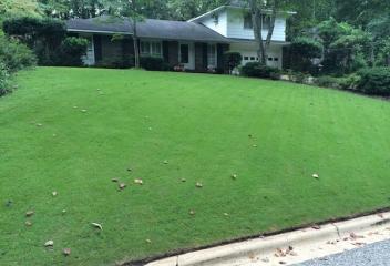 lawn