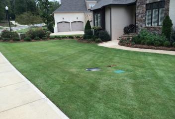 Lawn